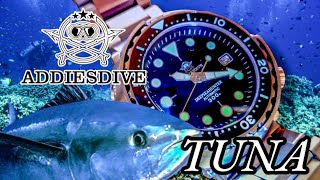 RELOJ DE RESISTENCIA EXTREMA 300M | ADDIESDIVE MY-H5 TUNA | 62€ | HOMENAJE SEIKO SBBN049 ATÚN.