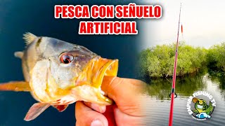 Pescando MULTIPLE ESPECIES Con Señuelo Artificial.