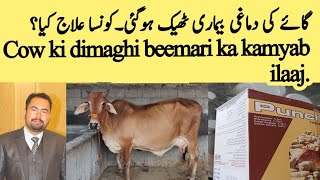 cow ki dimaghi beemari theek ho gyi - Dr Waheed Ahsan