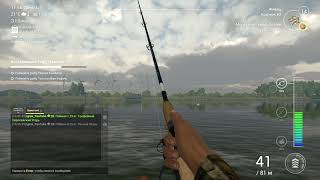 Fishing Planet: Канал Гент-Тернёзен  - Трофейная Толстогубая Кефаль