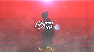 Playboi Carti TYPE BEAT, "u digg" [prod.Blasé]