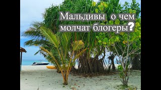 Почему мне не понравилось на Мальдивах? То о чем не расскажут блогеры.