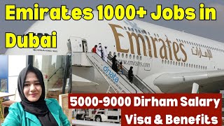 Emirates  National Dubai Jobs for Freshers #dubaijobs #jobsindubai #jobseekers