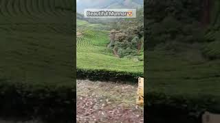 Munnar Kerala