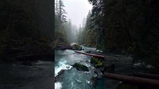 River | Nature #shorts #camping #hike #explore