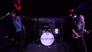 THE VIM DICTA (USA) - They're All Making Friends /Live at Bridge House - 2 London