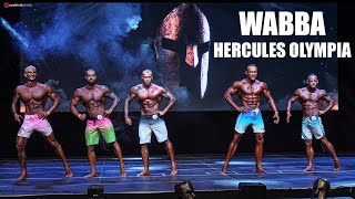 WABBA HERCULES OLYMPIA Mens Physique