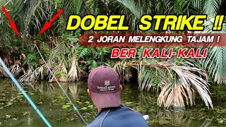 Gak di Sangka!! Dobel Strike Berkali-kali - Mancing Nila Babon di Hutan Dobos