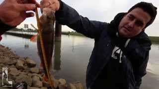 Fishing Duell 2 - Big L vs Johnny / Angeln auf Zander, Barsch in Holland / Carolina Rig Texas Rig