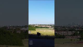 Hampstead Heath - Summer View - London Ambience - [ #shorts ]