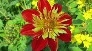 Perfection of Life