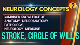 Neurology 2, STROKE, CIRCLE OF WILLIS Part [1] , Blood Supply to Brain, Neuroanatomy, NEETPG, INICET