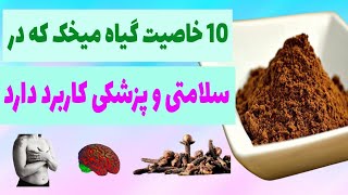 آیا از فواید و خواص گیاه میخک در سلامتی و پزشکی اطلاع دارید ؟