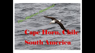 Conquering Cape Horn: Sailing Through South America's Ultimate Challenge