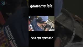 galatama lele||ikannya nyambar.. #shorts