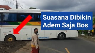 Bus Ini Kenapa?