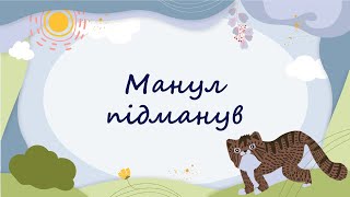 365 казок на ніч | Олена Шкаврон, Наталія Шейн «Манул підманув»