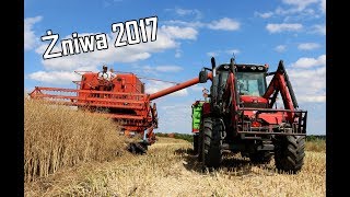 Żniwa 2017 | RZEPAK | Bizon ZO56 | Massey Ferguson 5425 | Sony as200v | HD