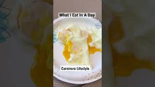 Carnivore Diet What I Eat In A Day #shorts #carnivore #keto #vlogs