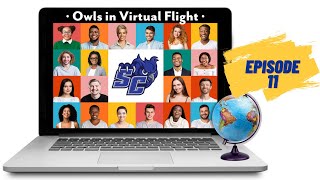 Owls in Virtual Flight: Blueberries, Caruru, and Gata, ep. 11