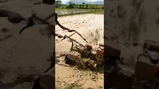 BACK ROTARY WEEDER WETLAND DEMO