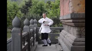 Wudang Bagua Zhang 武当八卦掌