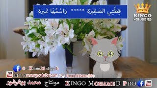 أغنية قطة الصغيرة روووعة للأطفال   2019