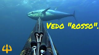 Pesca sub   :    ✴Vedo rosso.🔴(Sud Sardegna)