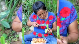 Comiendo enchiladas con paguas y aguacates, en el campo . 😋 🤗