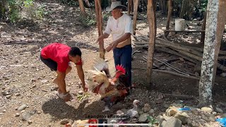 Padre Rechaza a su Hijo por Desconocer el Trabajo de Campo: Una Historia Impactante