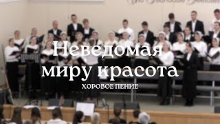 Неведомая миру красота | Хоровое пение