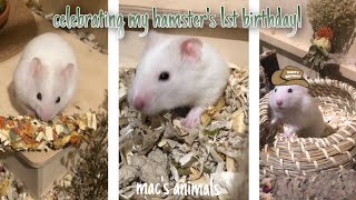 CELEBRATING MY HAMSTER’S BIRTHDAY! | Mac’s Animals