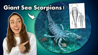 When Sea Scorpions Ruled The Seas! GEO GIRL