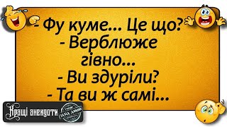 Збірка анекдотів смішних до сліз! Анекдоти дня про все на світі!