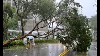 Typhoon Krathon caused severe flooding in northern Taiwan, 5 October 2024