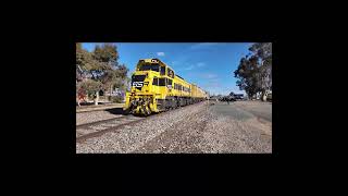 Metro Trains EV120 Visits Shepparton. #shorts #trackmachine #diesellocomotive #australiantrains #ssr