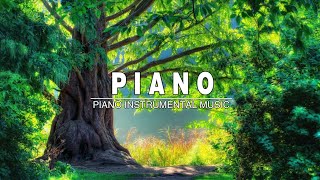 PIANO MUSIC ~ 早上最適合聽的輕音樂 - 美妙的音樂 - 純鋼琴輕音樂 - 轻松的钢琴音乐 - 放鬆音樂 ★22