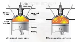 АИ 92 или АИ 95.  Какой лучше заливать?