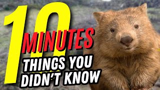 10 Minutes Of Things You Don't Know 🤯 #25