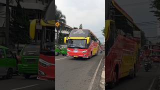 Klakson Telolet Basuri Ala Bus Adhi Prima #teloletbasuri #basuri #busmania #shorts