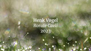 Henk Vogel - Rorate Caeli