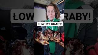 Łowimy kraby na morzu Barentsa! 🤣 #majowanie #kingcrab #norwegia #vanlife #kamper