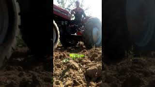 135 Massey ferguson, mf 135, dokuzlu kazayağı, kültivatör . ( SÜRÜM ) 2