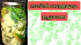 |നാവിൽ വെള്ളമൂറും ഉപ്പുമാങ്ങ|Uppu manga recipe| #food # lunch