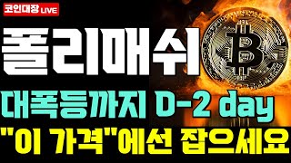 [폴리매쉬 코인전망] 대폭등까지 D-2 day, "이 가격"에선 잡으세요 !