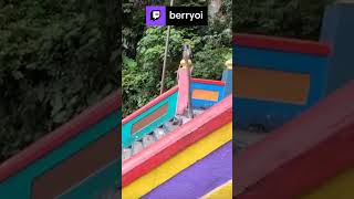 Naughty monkeys in Malaysia stole pineapple & strawberry | berryoi on #Twitch #travel #trip