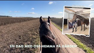 En dag på gården + veterinärbesök 🐴