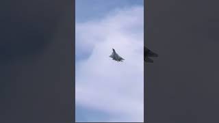 Why Is the Su-57 Turning Heads Globally? #shorts  #shortviral #stealthkiller