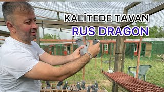 AVRUPA ŞAMPİYONUN KÜMESİNDEN KLASMANIN EN İYİ RUS DRAGONLAR