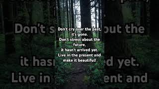 Quote #shorts #quotes #motivation #inspiration #positivevibes #nature #waterfall #forest #pinetree